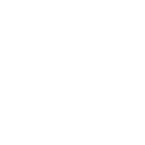 YPZ